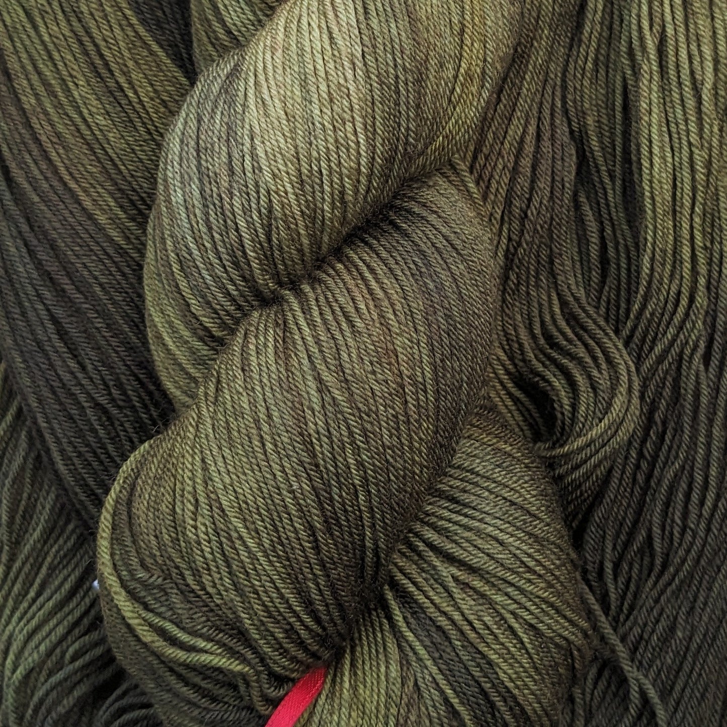 Kale Stalker SW Merino and Nylon