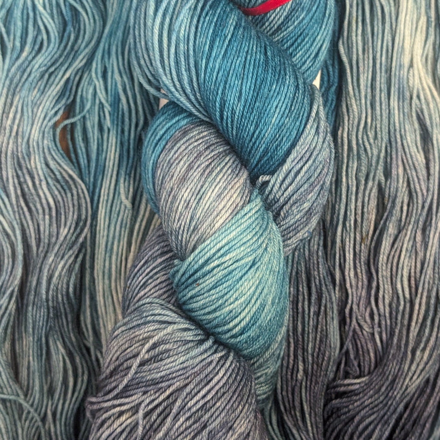 Dye Monkey Yarns - SW Merino/Nylon - Fingering Weight