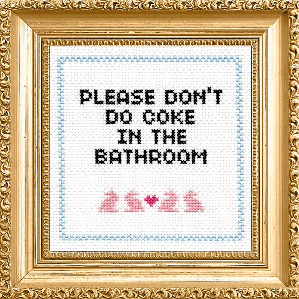 Subversive Cross Stitch - Please Don't Do Coke in the Bathroom Cross Stitch Kit