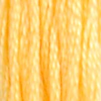 DMC Six-Strand Embroidery Floss