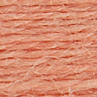 DMC Eco Vita Wool Thread