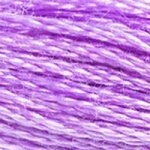 DMC Six-Strand Embroidery Floss