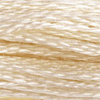 DMC Six-Strand Embroidery Floss