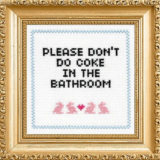 Subversive Cross Stitch - Please Don't Do Coke in the Bathroom Cross Stitch Kit