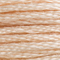 DMC Six-Strand Embroidery Floss